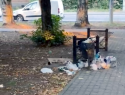 Раньше называли бульваром Кампенгаузена, а теперь превратили в помойку: еще одно проблемное место Таганрога
