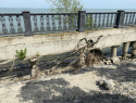 Летний сезон начался: и туристов смущает ремонт набережной в Таганроге