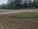 "Испохабили!": таганрожцы накинулись на Камбулову из-за Пушкинской набережной