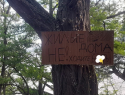 Отказ от туристической компоненты Таганрога: Богудония продолжает строить заборы