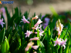 Циклон идет на Таганрог: после теплого вторника в городе похолодает до +13 и начнутся грозы