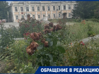 Это не страна чудес: в таганрогском сквере Чехова гибнут розы 
