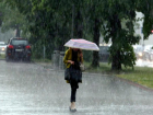 Дожди и грозы спешат в Таганрог на будущей неделе