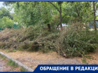 "Две недели дежурим, чтобы пожара не случилось": жители Таганрога напуганы обрезкой деревьев и завалами возле дома