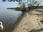 Таганрог туристический: экологическая катастрофа или всё идёт по плану