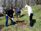 Министр природных ресурсов региона высадил деревья в Таганроге