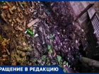  Таганроженку повергло в шок, увиденное в роще «Дубки»