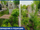 Таганроженка обратила внимание, что могилы Ветеранов войны не убирают много лет