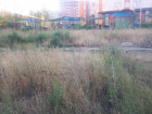 Простоквашино в Таганроге утопает в зарослях вредной травы