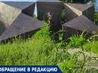 Романтичный бурьян в сквере "Звезда" возмутил таганрожца 