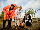 В Таганроге продолжают высаживать деревья 