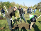 Традиционный день древонасаждения пройдет в Таганроге