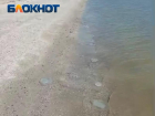 Азовское море и Таганрогский залив: какие процессы происходят