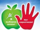 Таганрог  занимает второе место по борьбе с наркотиками в Ростовской области