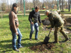 За 9 лет в Таганроге высадили почти 17 тысяч деревьев и кустарников