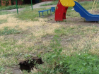 В Таганроге дети вынуждены играть между провалами с кипятком