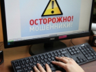 В Ростовской области полиция раскрыла мошенничество в сети Интернет