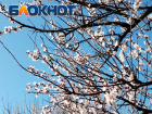 Весна в Таганроге – это сказка