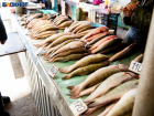 Прилавки таганрогских рынков ломятся от икряной рыбы