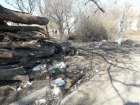 Школа №35 в Таганроге обросла мусором
