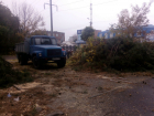 В Таганроге варвары срубили деревья у "Магнита"
