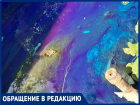 «Точечное загрязнение» или системная безнаказанность? Река Малая черепаха в Таганроге снова превращается в токсичный поток