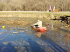 В роще Дубки почистили озеро с черепахами 