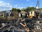 Хотела успокоить пчел: под Таганрогом случился пожар