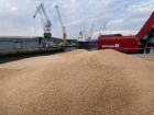 Таганрогский экспортер зерна в минувшем году остался без прибыли