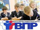 Таганрогские школьники будут писать ВПР в 2022-2023 учебном году