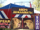 Приехавший в Таганрог цирк сливает нечистоты прямо в парк 