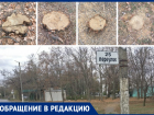 «Лес рубят, щепки летят»- в Таганроге взялись за очередной сквер 
