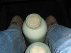 Поплатится рублем: под Таганрогом пресекли попытку перемещения молочной продукции