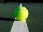 Таганрогские теннисисты принимают участие в турнире Елены Весниной