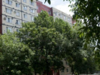 В Таганроге двухлетний малыш выпал из окна