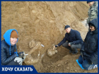 Назад в прошлое: на берегу Таганрогского залива учёные нашли останки мамонта