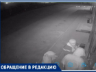 В Таганроге грабители магазина попали на запись камер видеонаблюдения