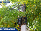 Еще одна причина, по которой в Таганроге может произойти ЧП - ветки, лежащие на проводах