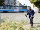 Первые лица Таганрога лично вышли на борьбу с сорной травой