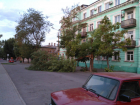 "Легкий бриз" свалил огромное дерево на Октябрьской площади в Таганроге 