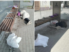 Уютную квартиру устроил себе бомж на остановке в центре Таганрога