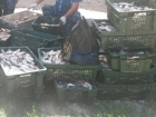 В Таганрогском заливе задержали рыбака с 20 ящиками рыбы