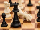 В Таганроге  пройдет шахматный турнир «Мемориал Владимира Дворковича»