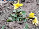 Весна в Таганроге: прогноз погоды