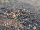 На трассе под Таганрогом случился пожар из-за бутылок