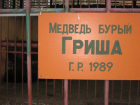 Живой уголок в Таганроге пытаются закрыть с помощью петиций 