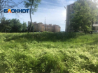 На ошибках не учатся – снова МКУ «Приморье» не косит траву в Приморском парке