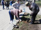 Таганрожцы своими силами начали облагораживать сквер у памятника Чехову