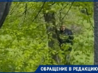 Обострение рукоблудов и эксгибиционистов начинается весной в Таганроге