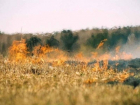 В Таганроге прогнозируют высокую пожароопасность